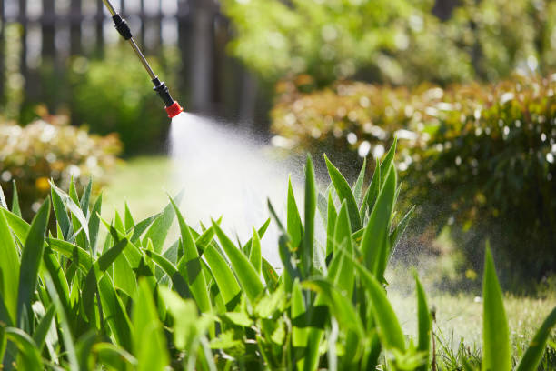 24/7 Emergency Ant Control experts in Morgantown, IN