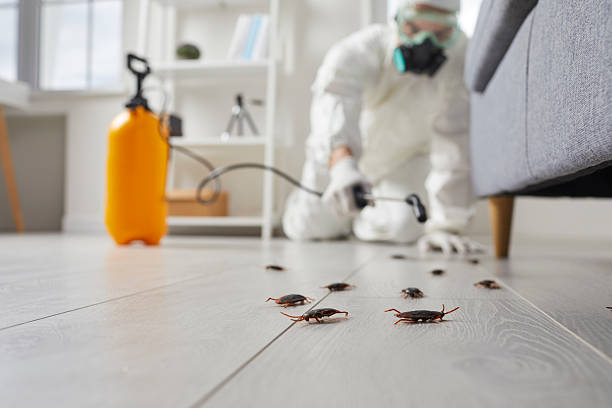 Trusted Termite Control service in Morgantown, IN - Nex Pest Control