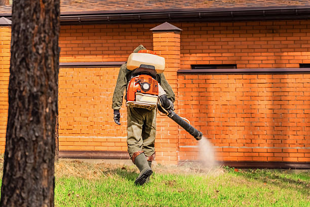Trusted Emergency Pest Control service in Morgantown, IN - Nex Pest Control